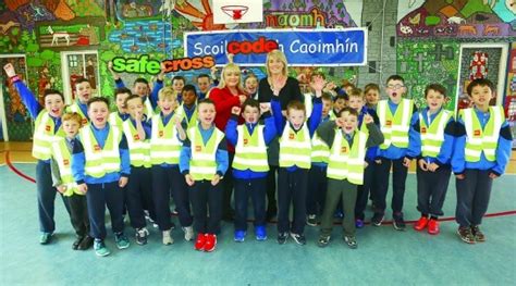 Image result for Safe Cross Code