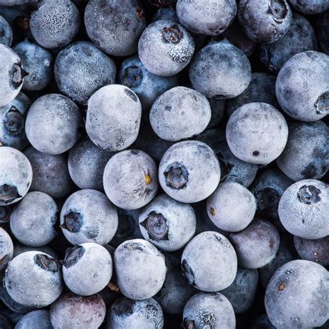 Frozen Blueberries Japan at Marjorie Lockett blog