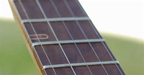 Image result for Method of String Bean Banjo