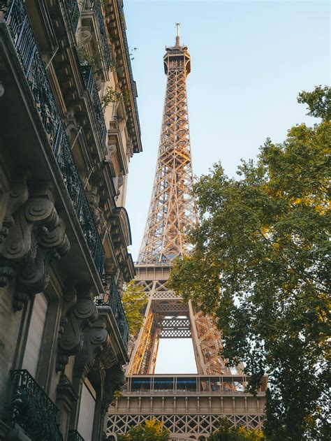 Free Images High Resolution Doting 的图像结果