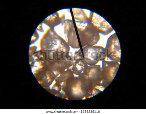 Image result for Quark Under Microscope