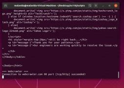 Netcat Download 的图像结果