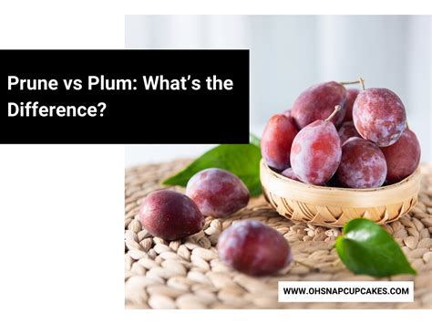 Plum 的图像结果