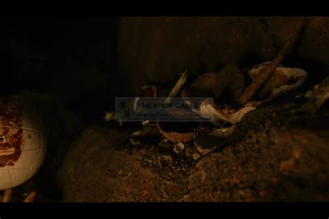 The Prop Gallery | Chuck Noland (Tom Hanks) paint brush