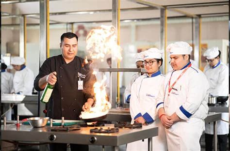 After 10+2? B.Tech, B.Sc, BBA, BCA, Diploma & Certificate Programs ...