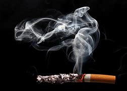 Smoking tobacco 的图像结果