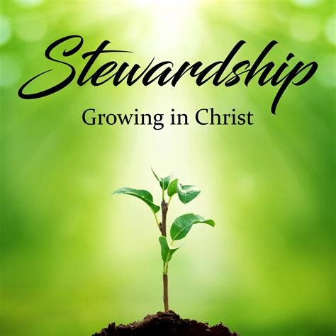 Bible Stewardship - The Witness