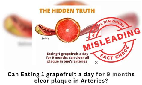 Fact Check: Can Eating 1 grapefruit a day for 9 months clear plaque in ...