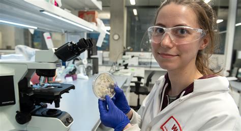 Microbiology | Washington Animal Disease Diagnostic Laboratory ...