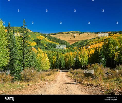 White Mountains of Eastern Arizona. Escudilla Mountain with golden ...