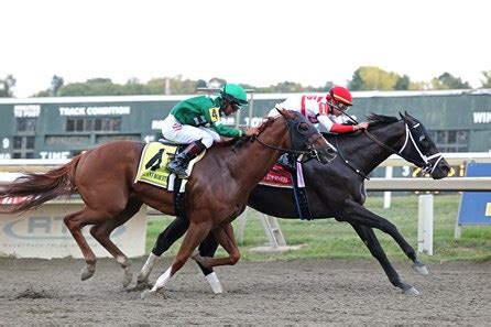 Shisospicy on Standby, Bentornato on Track for Dubai - BloodHorse