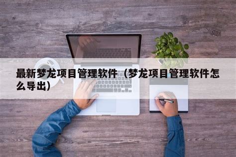 最新梦龙项目管理软件（梦龙项目管理软件怎么导出）-伙伴云