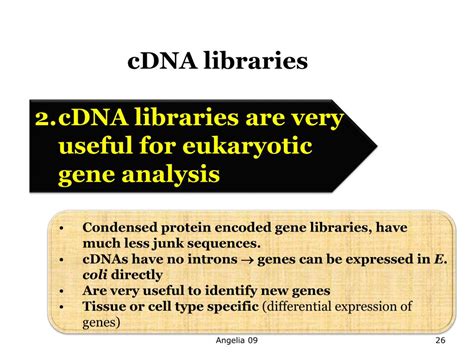 cDNA Library Definition 的图像结果