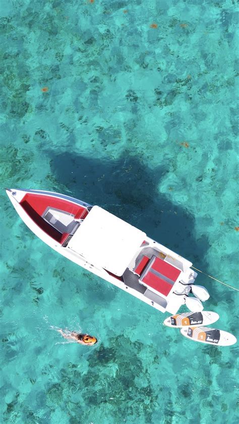 Image result for Infinity Boat