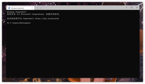 Use Windows PowerShell Dork 的图像结果