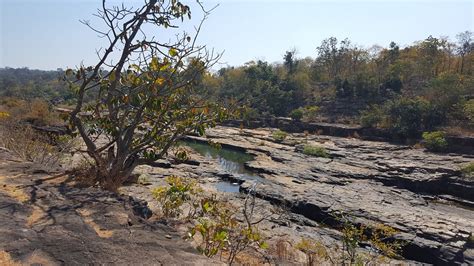 SUNABEDA WILDLIFE SANCTUARY (2025) All You Need to Know BEFORE You Go ...