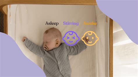 Newborn Sleep Patterns 的图像结果