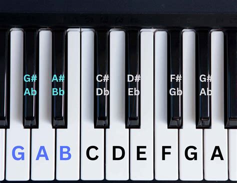 How To Label Piano Keys: Simple Trick To Learn Piano In 2023 - Sonic ...