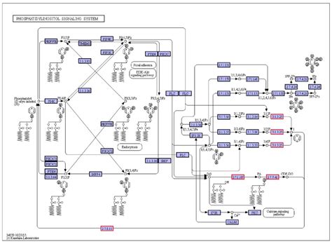 High Concentration Organic Wastewater with High Phosphorus Treatment by ...
