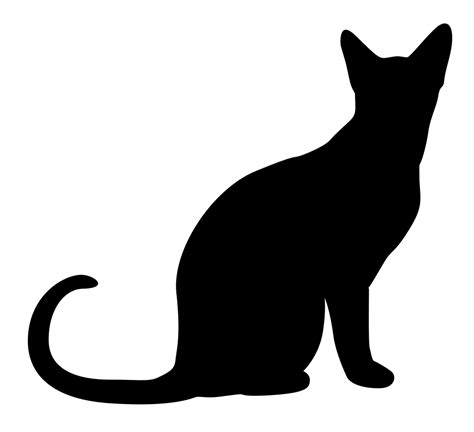 Image result for Regex Variable in Pattern Unix Shell Script