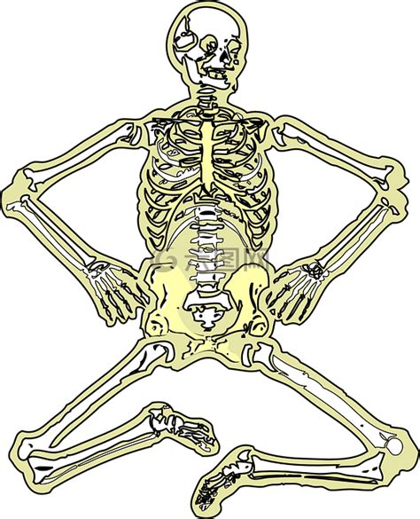 人体骨骼3D模型 - TurboSquid 1358705