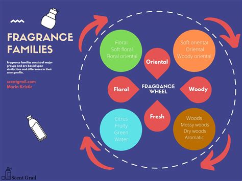 Fragrance Families & Fragrance Wheel: The Ultimate Guide - Scent Grail