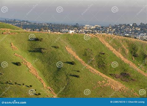 Afternoon Landscape of Ascot Hills Park Stock Photo - Image of city ...
