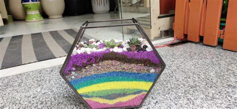 polygon Terrarium – Hadiiqa