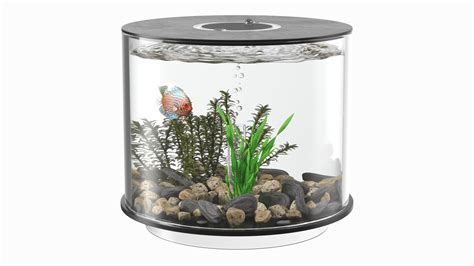 Black Cylinder Fish Tank 3D Model - TurboSquid 2133689