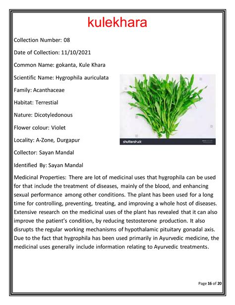 Bio investigatory project .docx