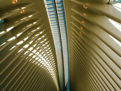 Image result for Oculus Ceiling