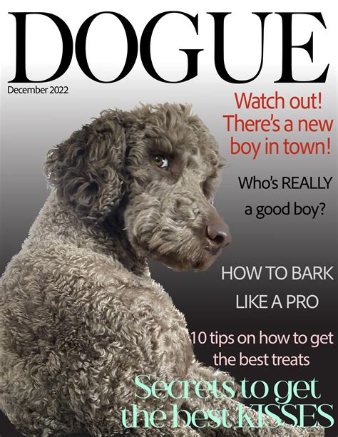 Teddy - How YOU doin'? : r/dogue