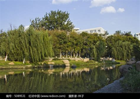 青岛海泊河公园的小河高清图片下载_红动中国