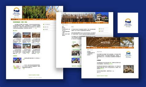 林创中国-网站建设-上海网络公司【布谷网络】-专注网站建设网络营销推广！
