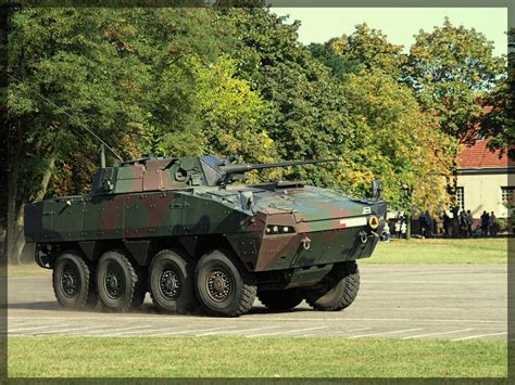 Bildergebnis für kto rosomak