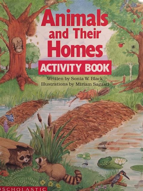 Animals and Their Homes Activity Book : Black, Sonia: Amazon.in: Books
