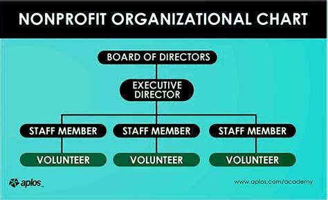 Non-Profit Organization Structure Chart 的图像结果