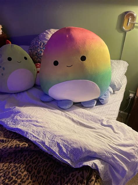 24 inch mega for $20 at Ross : r/squishmallow
