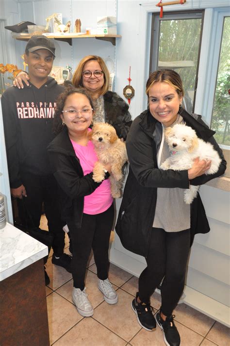 Mila and Lila! – Morris Hills Veterinary Clinic