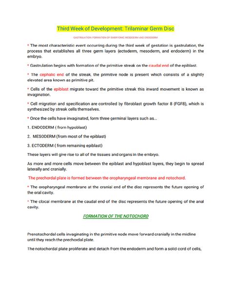 Image result for Third Week Development of Embryo