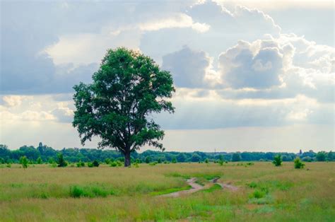 Image result for Color Emphasis Photography