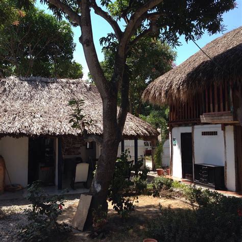 HOSTAL PALOMA CAFFE (Palomino) - Inn Reviews & Photos - Tripadvisor