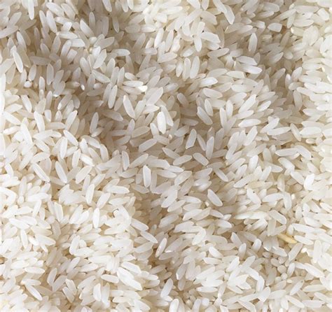 non basmati rice