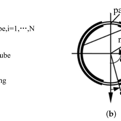 Longitudinal Section and Cross Section 的图像结果