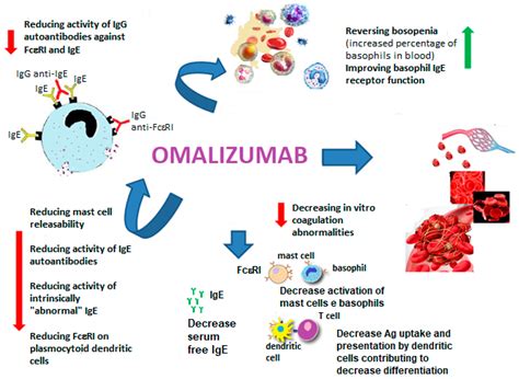Sex, Allergic Diseases and Omalizumab