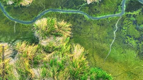 Pollution 的图像结果