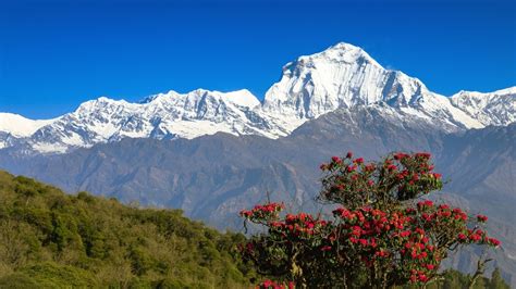 The 12 best places to visit in India in 2022 | Condé Nast Traveller India