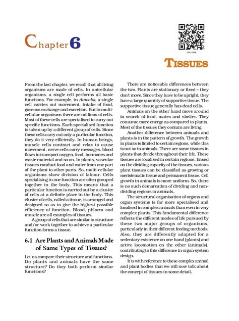 Class 9 Science Chapter 6 的图像结果