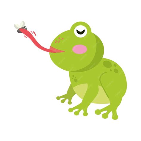 Free Vector | Frog eating fly design