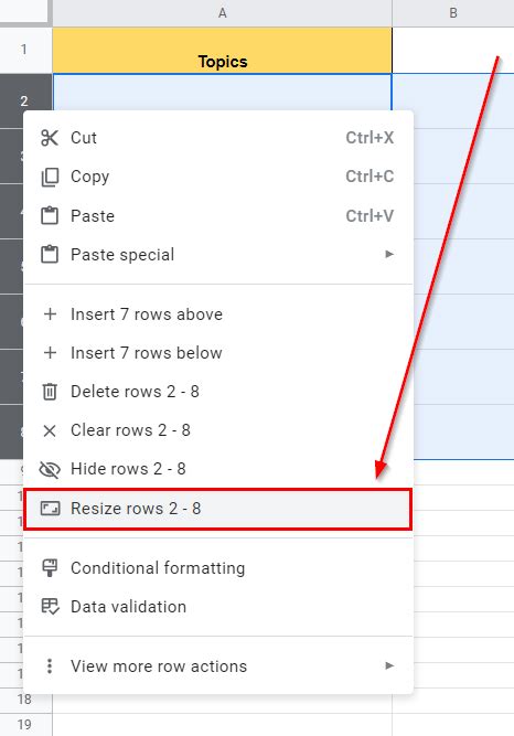 Resize Google Sheets 的图像结果